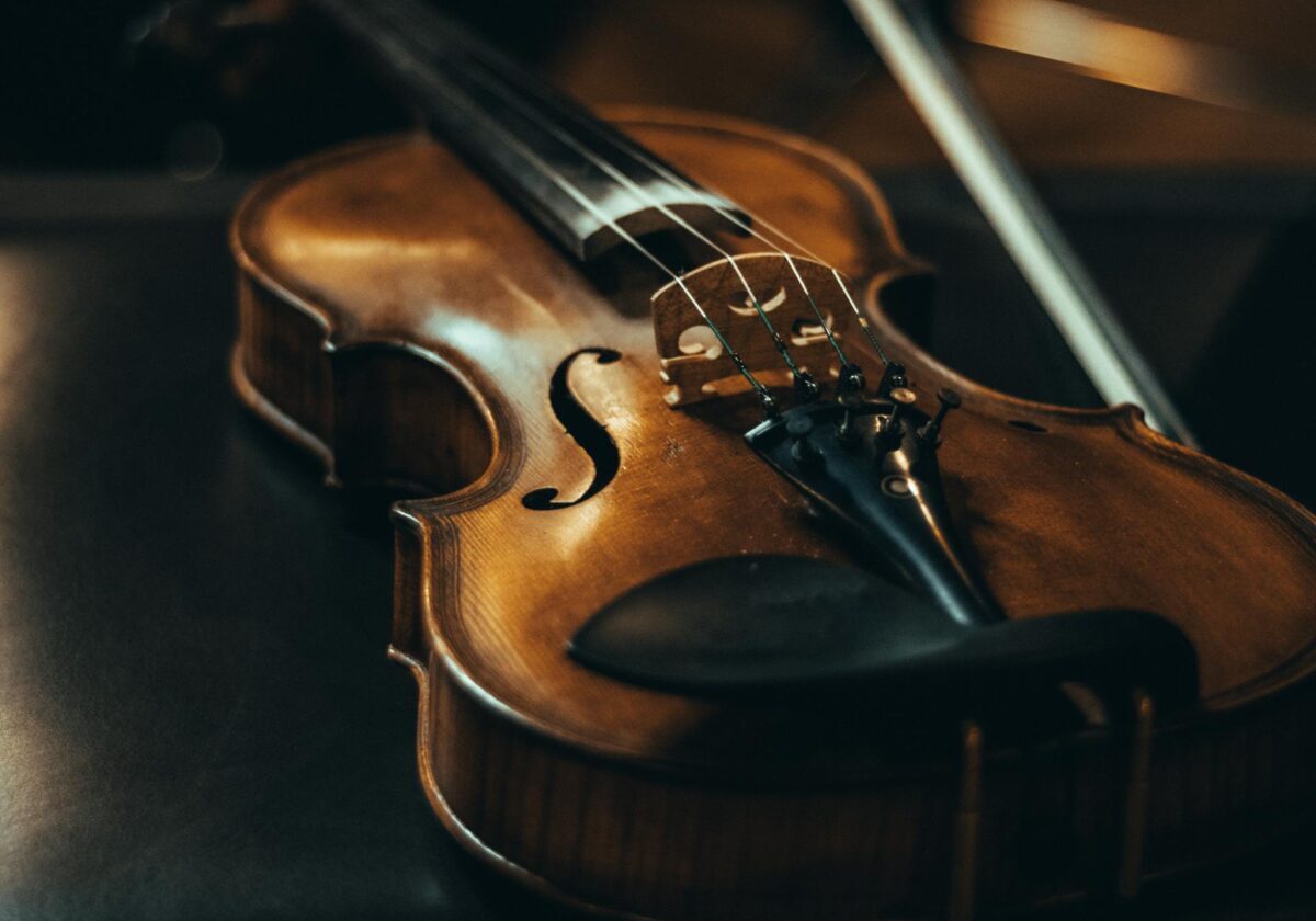 violin